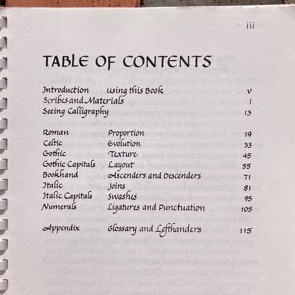 2 Learning Calligraphy Decorated Page Borders Margaret Shepherd Printmaking - Picture 12 of 16